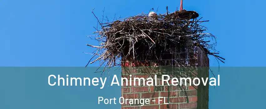 Chimney Animal Removal Port Orange - FL
