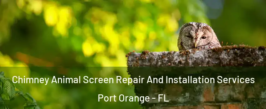  Chimney Animal Screen Repair And Installation Services Port Orange - FL