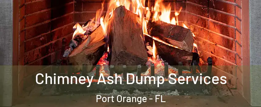  Chimney Ash Dump Services Port Orange - FL