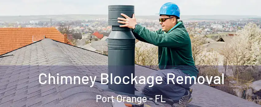  Chimney Blockage Removal Port Orange - FL
