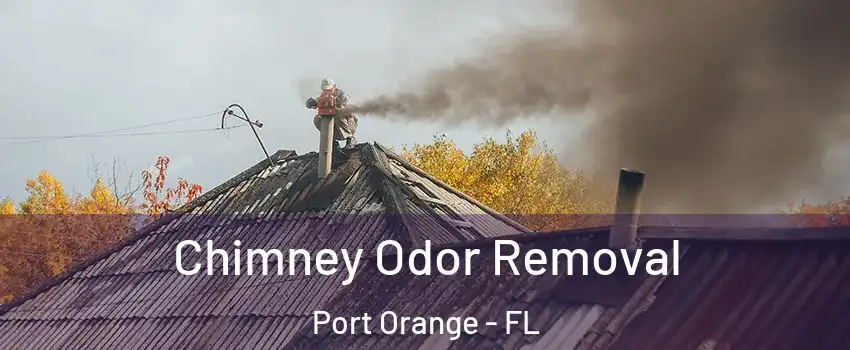  Chimney Odor Removal Port Orange - FL