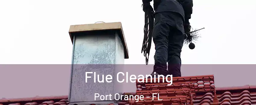  Flue Cleaning Port Orange - FL