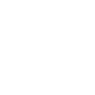 Professional Chimney Flue Installation in Port Orange, Florida