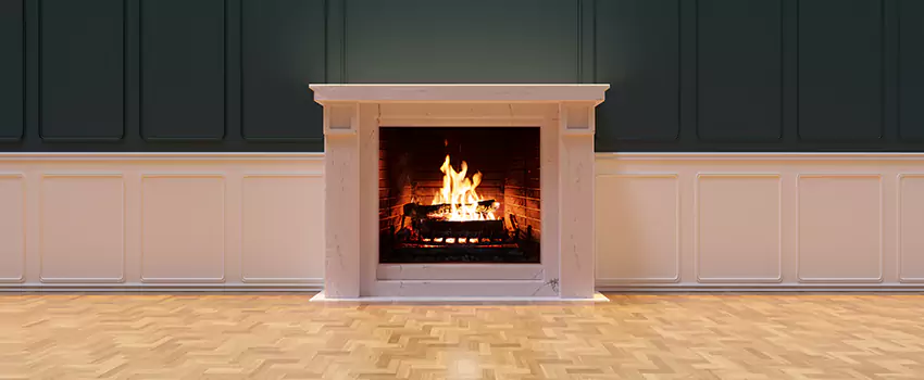 Napoleon Electric Fireplaces Inspection Service in Port Orange, Florida