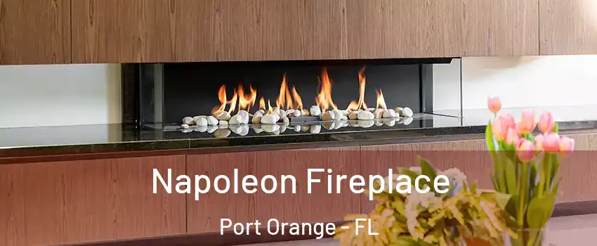  Napoleon Fireplace Port Orange - FL
